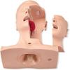 TAKESH Suck Sputum Practice Model Airway Management Trainer Intubation Manikin Suction Tube Nasal Oral Anatomy for Nurse Apprentice Doctor Teaching view 2