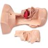 TAKESH Suck Sputum Practice Model Airway Management Trainer Intubation Manikin Suction Tube Nasal Oral Anatomy for Nurse Apprentice Doctor Teaching view 3