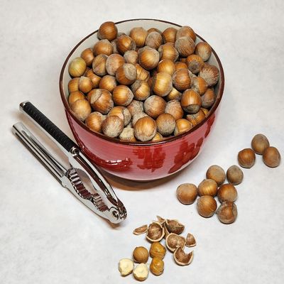 Hazelnuts in shell roasted 4Lbs Grown in Washington state in our family's orchard