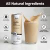 Slate Milk - High Protein Iced Coffee - Vanilla Latte - 175mg Caffeine, Lactose Free Energy - 20g Protein, 1g Sugar, 100 Calories, 1g Net Carbs, No Sugar Added - Protein Coffee - 11 fl oz, 12 Cans view 2