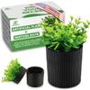 Denture Bath, Invisible Denture Case Designed As Artificial Eucalyptus Potted Plants, Denture Cup With Strainer For Retainer, Mouth Guard & Dentures, Perfect For Home Decoration view 1