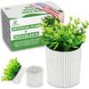Denture Bath, Invisible Denture Case Designed As Artificial Eucalyptus Potted Plants, Denture Cup With Strainer For Retainer, Mouth Guard & Dentures, Perfect For Home Decoration view 1