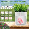 Denture Bath, Invisible Denture Case Designed As Artificial Eucalyptus Potted Plants, Denture Cup With Strainer For Retainer, Mouth Guard & Dentures, Perfect For Home Decoration view 3