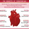 ZEBORA CoQ10-300mg-Softgels with PQQ, BioPerine & Omega-3, 120 Servings Coenzyme Q10 (Ubiquinone) Supplement for High-Absorption, Powerful-Antioxidant, Support Heart-Health & Energy-Production view 4