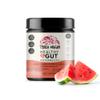 TERRA ORIGIN Healthy Gut Watermelon | 30-Servings with L-Glutamine, Zinc, Glucosamine, Slippery Elm Bark, Marshmallow Root and More! view 1