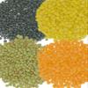 Clear Creek 100 LB Lentil Bundle: Beluga Lentils, Gold Lentils, Green Lentils, Red Lentils in 25 LB Buckets view 3
