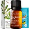 Bay Leaf 0.34 fl oz & Jojoba Carrier Oil 3.4 fl oz Set - Aromatherapy Grade Essential Oils Set view 2