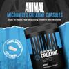 Animal Micronized Creatine Monohydrate Capsules - 300 Caps, 2500mg per Serving to Support Muscle Growth, Endurance, ATP Production, Cognitive Function, Strength, Recovery, and Delay Muscle Fatigue view 2