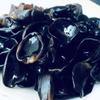 Black Fungus Dried Mushrooms Organic Auricularia Wood Ear Mushrooms Dried Organic Black Fungus Black Fungus Drink Black Fungus Dried,Black Fungus Woodear Mushrooms (250grams) view 2