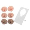 3 Pairs Soft Silicone Ear Model, Acrylic Stand, Human Ear Model for Piercing Practice, Earring Display, Silicone Human Ear Model view 1