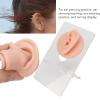 3 Pairs Soft Silicone Ear Model, Acrylic Stand, Human Ear Model for Piercing Practice, Earring Display, Silicone Human Ear Model view 3