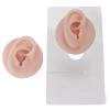 Silicone Ear Model, Simulation Human Body Part Silicone Ear Model, for Display Simulation Ear Acupuncture Practice, Jewelry Display (Medium Skin Color) view 4