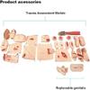 160cm Life Size Patient Care Manikin Full Body Training Simulator First Aid Trauma Care Model for Nursing Medical Training Teaching view 3