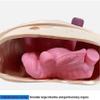 160cm Life Size Patient Care Manikin Full Body Training Simulator First Aid Trauma Care Model for Nursing Medical Training Teaching view 4