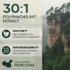 Jungle Powders Black Ant Extract Powder 30:1 Concentration, 94 Servings - 5 Ounces of Pure Polyrhachis Black Ant Supplement, Filler Free Changbai Mountain Ant Traditional Mens Health Support for Drive view 4