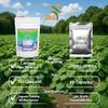Feminizer Sex Change Pills by SMS, 100 Veggie Caps Pueraria Mirifica For Estrogen 1,000mg Pure 10:1 Root Extract Powder - Kwao Krua Kao - Premium Grade, Organic for Women, Transgender, Ladyboy, LGBT view 2
