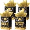 TaoBary 12 Pcs Graduation Gift Bags with Tissue Party Favor Bag Handles Class of 2025 Grad Paper Goodie Bulk for Congrats Supplies(Black Gold) view 1