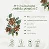 ANCESTRAL Organics Vegan Protein Powder, Sacha Inchi Certified Organic Superfood - 17g Plant Based Protein - Nutrient Rich - Gluten Free, Dairy Free, Sugar Free - 1.1lb view 2
