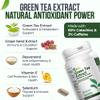 Allbe 220mg Green Tea Extract Capsules, 120mg Resveratrol & 90mg Grape Seed Extract with Viatmin E and Selenium, 4 Packs of 90 Antioxidant Support Capsules, Serving Size: 1 Capsule, 360 Days Supply view 3