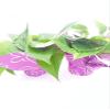 Two Golden Devil's Ivy Pothos 4'' Pot - Gift Wrapped Plant from Jmbamboo view 1