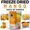 FzyEzy Healthy Premium Freeze-dried Mango Fruit Chunks | Free GMO & No Added Sugars, Preservatives, Artificial Flavors, Colors | Pantry Groceries Perfect for Camping Vegan Healthy & Survival Travel Friendly Ready to Eat Snacks for Kids & Adults (Mang view 4