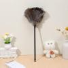 ULTECHNOVO Ostrich, Ostrich Duster Feather Dusters with Long Handle Cleaning Brush Tool for DustingDelicate Items Washable, Keyboard, Home, Car, Office (Length 15.72") view 4