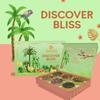 BREWIX, Discover Bliss Premium Assorted Tea Gift Set for Women (6 Premium Teas / 75+ Cup) | Tea Gift Sets For Tea Lover | Tin Caddy Presentation Box | Gifts for Her | Gifts for Women view 3