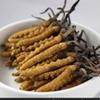 10 Grams Wild Himalayan Cordyceps Sinensis Chinese Caterpillar Fungus Dong Chong Xia Cao Cordyceps Sinensis Wild Cordyceps. view 4