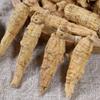 500 Grams Pure Natural Organic American Ginseng Root Panax Quinquefolius (3 Grams/Grain). view 2