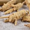 500 Grams Pure Natural Organic American Ginseng Root Panax Quinquefolius (3 Grams/Grain). view 3