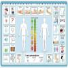 Say it with Symbols Extra Large Patient Care Picture Communication Board with Marker | Helps Nonspeaking Adults, Elderly, Kids, Disabled Patients Receive Better Care view 3