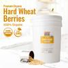 Grand Teton - Ancient Grains Khorasan Wheat Berries, 100% Organic Berries, Premium Food-Grade Khorasan Grain, For Milling, Sprouting, Baking, Salads, Pilafs, & Soups, 43 lbs view 2