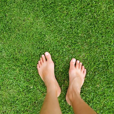 Grounding Mat- All Natural- Real Grass Pad for Health and Wellness- 24 x 20in (Real Grass Grounding Mat with Reusable Tray)