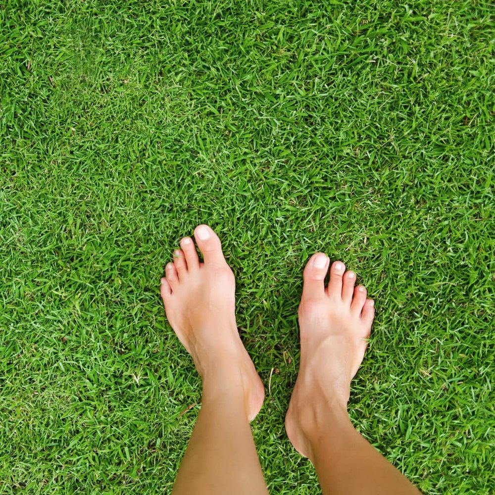 Grounding Mat- All Natural- Real Grass Pad for Health and Wellness- 24 x 20in (Real Grass Grounding Mat with Reusable Tray)