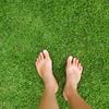 Grounding Mat- All Natural- Real Grass Pad for Health and Wellness- 24 x 20in (Real Grass Grounding Mat with Reusable Tray) view 1