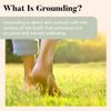 Grounding Mat- All Natural- Real Grass Pad for Health and Wellness- 24 x 20in (Real Grass Grounding Mat with Reusable Tray) view 3