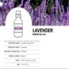 Auxo Gardens Essential Oil 1oz(30ml) - 100% Natural and Pure, Premium Quality Therapeutic Grade Essential Oil for Aromatherapy (Lavender) view 4