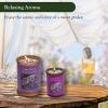 ADK Lilac Scented Candle, 10 Oz Aromatherapy Candle, Proudly Poured in The USA, Natural Wax for Relaxation and Home Dcor, for Gift, Kitchen, and Living Spaces view 4