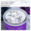 ADK Scented Natural Soy Aromatherapy Candle, 10 Oz Aromatherapy Candle, Proudly Poured in The USA, Natural Wax for Relaxation and Home Dcor, for Gift, Kitchen, and Living Spaces view 3