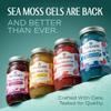 TrueSeaMoss Sea Moss Gel  Made in USA  Wildcrafted Seamoss, Fruits & Jarred Vegetables  Mango/Pineapple, Pack of 1 (Labels may Vary) view 2