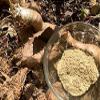 Metrol Mulondo Mondia Whitei Root Powder (250 Grams) view 4