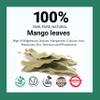 Akshit Dried Mango Leaves, 2.6 oz, 100% Natural Mango Leaf Tea | Herbal Loose Leaf Tea | Caffeine-Free, Non-GMO | For Tea & Leaf Extract Preparation view 2