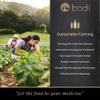 bodi : Acai Berry Powder | 4oz to 5lb | 100% Pure Natural Hand Crafted (5 Lb) view 4