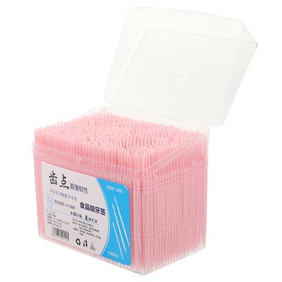 Toothpicks for Teeth 1000Pcs - Double-Head Toothpicks Interdental, Oral Care (Random Color)