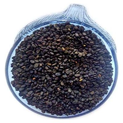 MIYUU Sky Life Babchi - 100Grm - Bavanchi - Psoralea Corylifolia - Bakuchi Seed - Lalakasturi - Sugandha - kantak - Habuch - Bavachi