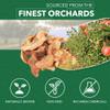 HARVEAST Dried Apples - Dehydrated Sliced Apple Snack - Tender & Sweet Whole Dried Fruits - Vegan Treats in Resealable Pack - Sugar Free, Non-GMO, Unsulfured, Gluten Free & Kosher (10 Oz, 1 Pack) view 3
