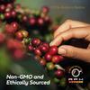 1LB RPM Brazil Cerrado Premium Coffee, Standard Caffeine - Supercharged Flavor, Medium-Dark Roast, 100% Arabica Beans, Low Acidity view 4