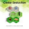 Cedar Seduction 27 oz Refill for Oil Diffuser with Red Cedarwood, Blond Woods, Sandalwood & More Notes view 2