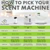 Cedar Seduction 27 oz Refill for Oil Diffuser with Red Cedarwood, Blond Woods, Sandalwood & More Notes view 4