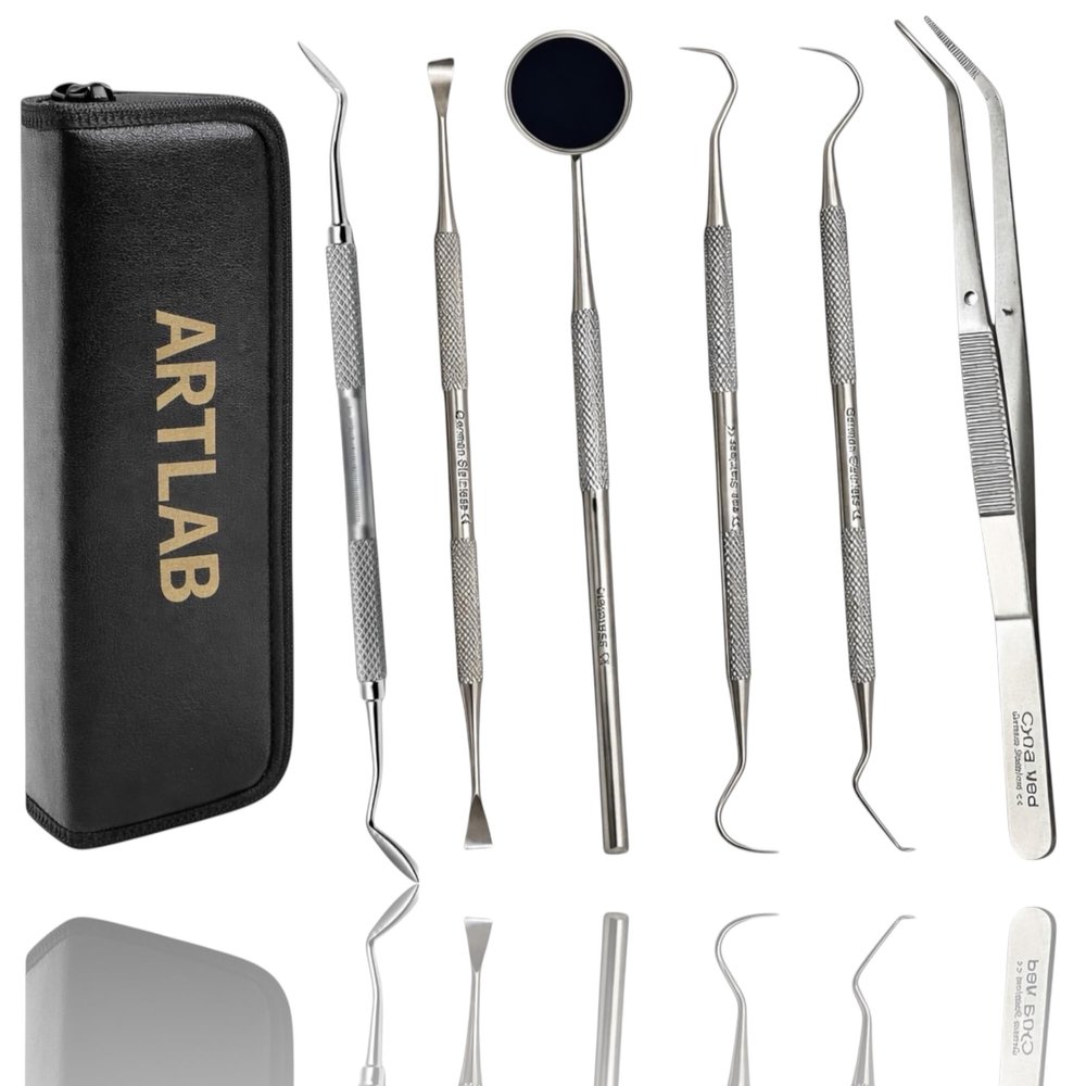 Premium Dental Tools, Plaque Remover for Teeth, Professional Hygiene Cleaning Kit,Stainless Tooth Scraper Plaque Tartar Remover Cleaner,Dental Pick Scaler Oral Care Tools Set (Set of 6 with CASE)